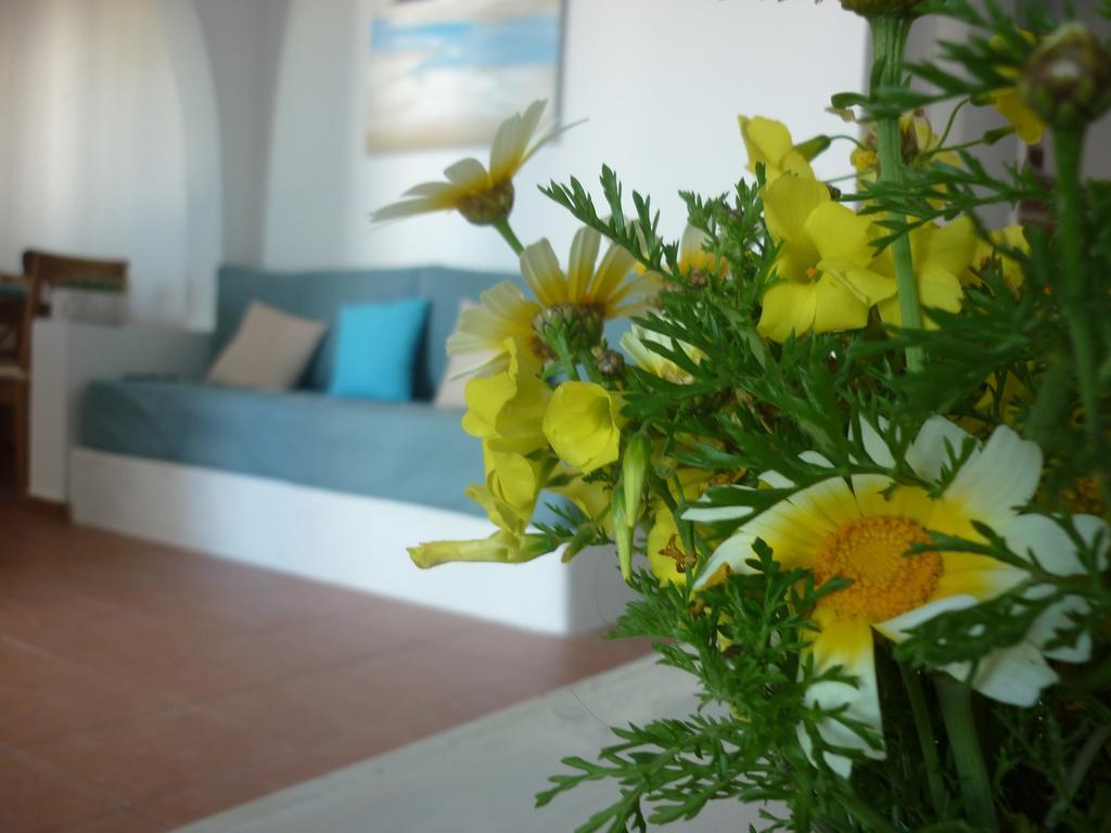 Villa Aelia Santorini Vóthon 部屋 写真