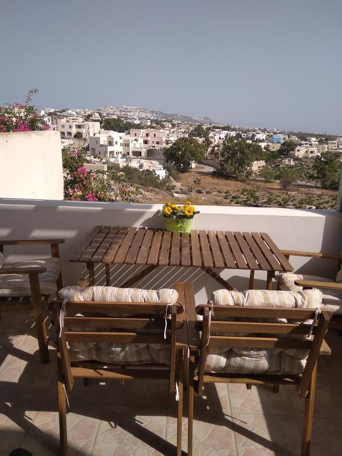 Villa Aelia Santorini Vóthon エクステリア 写真